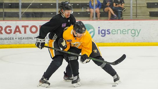 Development camp report: Penguins have more young talent 'than the hockey world realizes' taken in Cranberry, Pa. (Penguins)